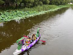 -同里国家湿地公园