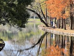 -上海共青森林公园