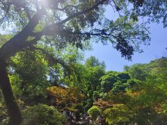 -岳麓山风景名胜区