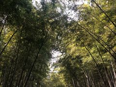 -苏州环秀晓筑养生度假村
