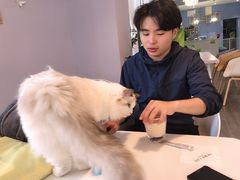 -COTTON CAFE(德信·中外公寓店)