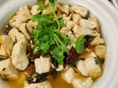 -少林寺欢喜地素斋馆