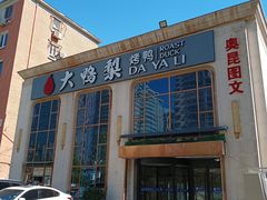 -大鸭梨烤鸭店(花园村店)