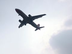 -空港花田景区