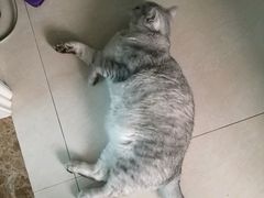 -上海大学嘉定校区-食堂