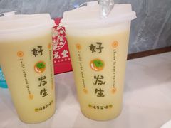 -火龙堂·风味民间菜(文一路店)