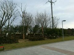 -九里河湿地公园