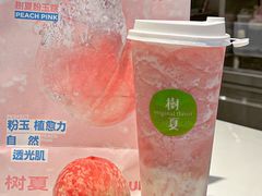 -树夏(建设路店)