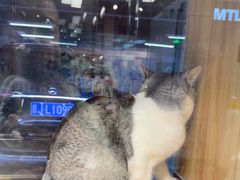 -FAELING PETS美天灵宠物(富力广场店)