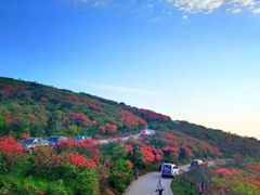 -永州阳明山国家森林公园