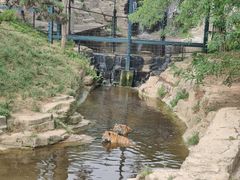 -大连森林动物园