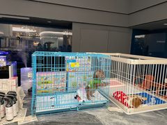 -1013 PET SHOP精品宠物商店(丁香店)