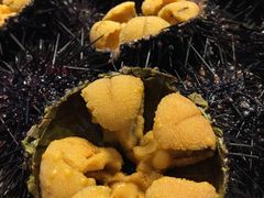 -连鹭海鲜·海肠捞饭·海胆饭(星海店)