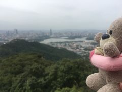 -紫金山山顶公园