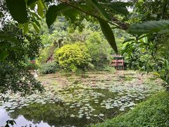 -野象谷景区