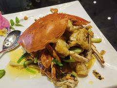 -新雅粤菜馆(南京东路店)