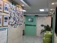 -半岛宠物医院24小时·内窥镜·牙科·碎石中心(府城大道店)
