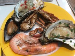 -帝企鹅自助餐厅•儿童岛•真企鹅(长隆企鹅酒店)