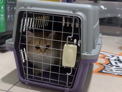 -佳雯宠物医院·皮肤科·内外科(春晓路分院)