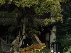 -南京市民俗博物馆(甘熙故居)