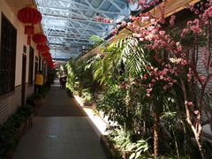 -森谷美食公园(杨行店)
