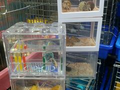 -万商花鸟市场