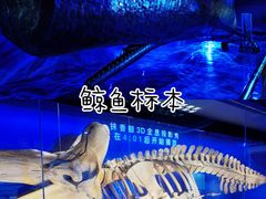 -厦门海底世界