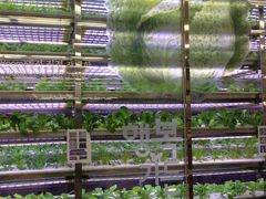 -乐天超市(蚕室店)