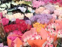 -循礼门鲜花花市(武汉循礼门店)