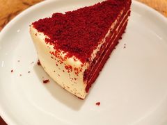 -去茶山