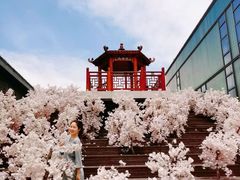 -哈根达斯(扬州瘦西湖店)