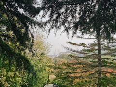 -大连植物园