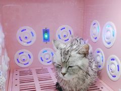 -贝康宠物医院·犬猫全科·小动物特色诊疗中心(东环路店)