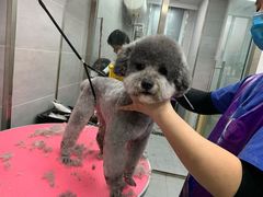 -宠福鑫康馨动物医院·骨科·眼科