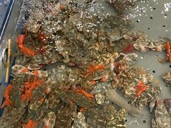 -澜悦港海鲜体验主题餐厅