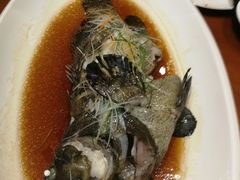 -頂好酒家·经典粤菜(海信广场店)