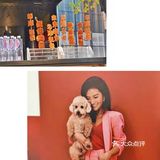 圣诞季🎄来外滩抱一下！