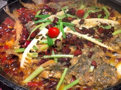 -老板恋上鱼(恒隆广场店)