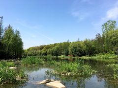 -新江湾城公园
