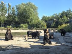 -齐齐哈尔龙沙动植物园