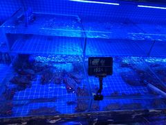 -渔民船说·北塘海鲜·天津菜·海肠捞饭(北塘古镇店)