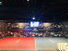 -VS SPORTS PARK运动玩乐园·团建·生日会(合生汇店)