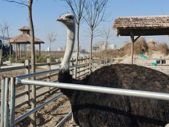 -兴芮温泉度假区