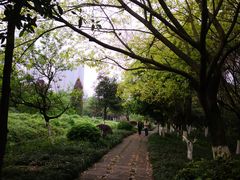 -重庆彩云湖湿地公园