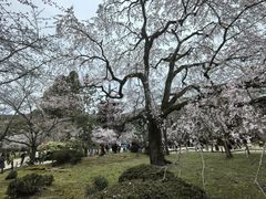 -醍醐寺