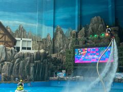 -青岛东方影都融创水世界