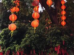 -荔湾湖公园