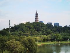 -顺峰山公园