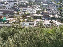 -塔尔寺游客服务中心