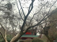 -岳麓山风景名胜区